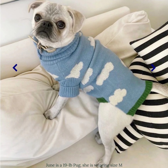 Little Beast Cloud Sweatshirt - Picture 3 of 6